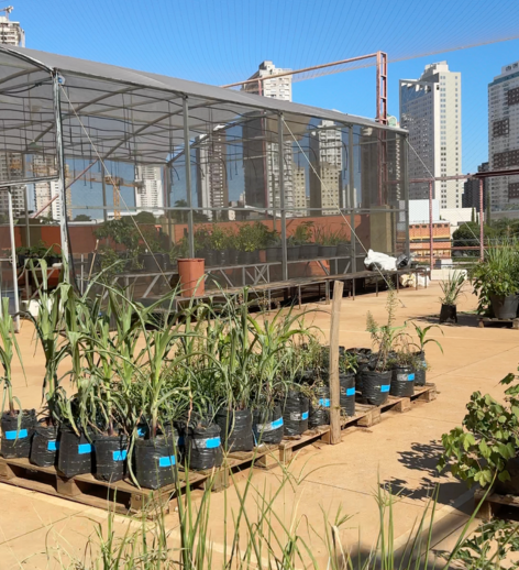 Engenharia Agronômica UniAraguaia