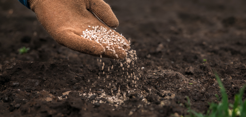 Solos e Nutrição de Plantas