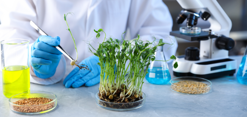 Biotecnologia Agrícola