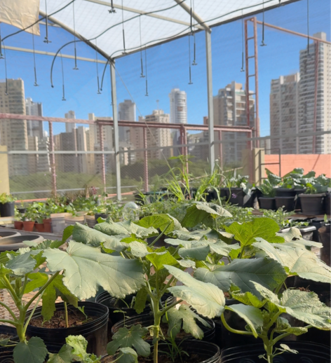 Engenharia Agronômica UniAraguaia